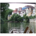 tpanorama2.jpg
