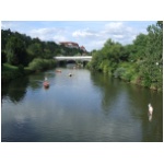 tpanorama3.jpg